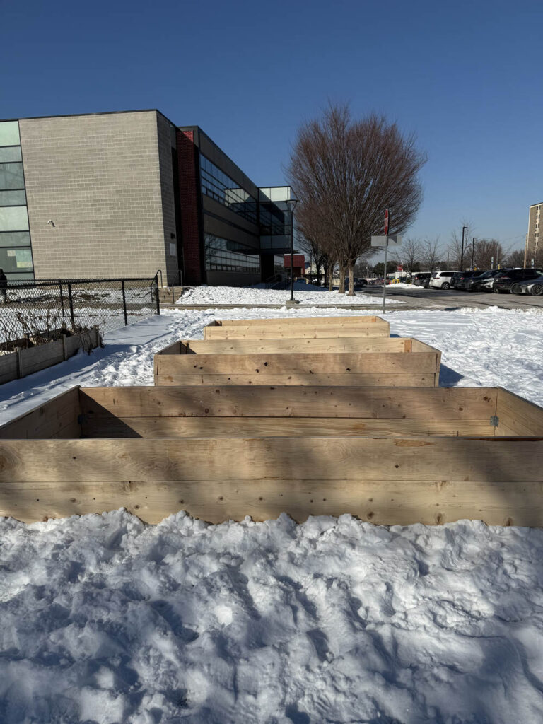 Americorp Vistas build garden beds at Ramos Elementary School for MLK Day