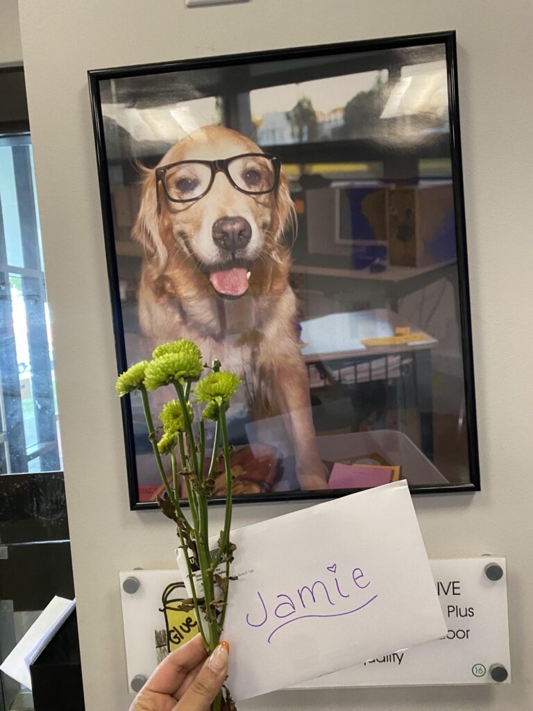 Flowers and a card for Jamie, Community School Coordinator at Ramos Elementary School in the Allentown School District